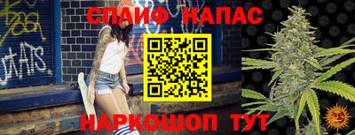 молекула духа Пенза