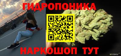 молекула духа Пенза