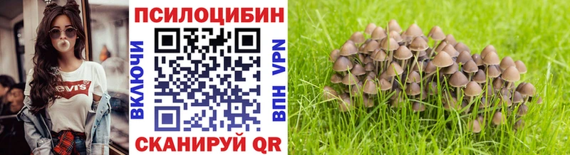 ОМГ ОМГ зеркало  Георгиевск  Псилоцибиновые грибы мицелий  хочу наркоту 