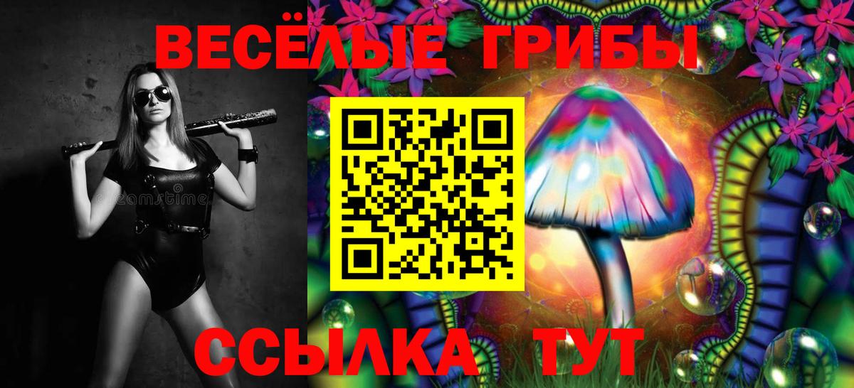 Псилоцибиновые грибы MAGIC MUSHROOMS  Псилоцибиновые грибы Psilocybe  Вход с VPN  Георгиевск 